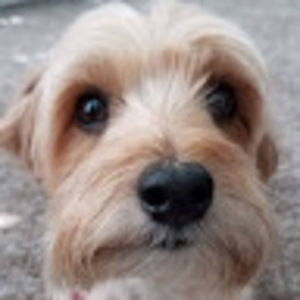 Meet your Posher, Genevieve